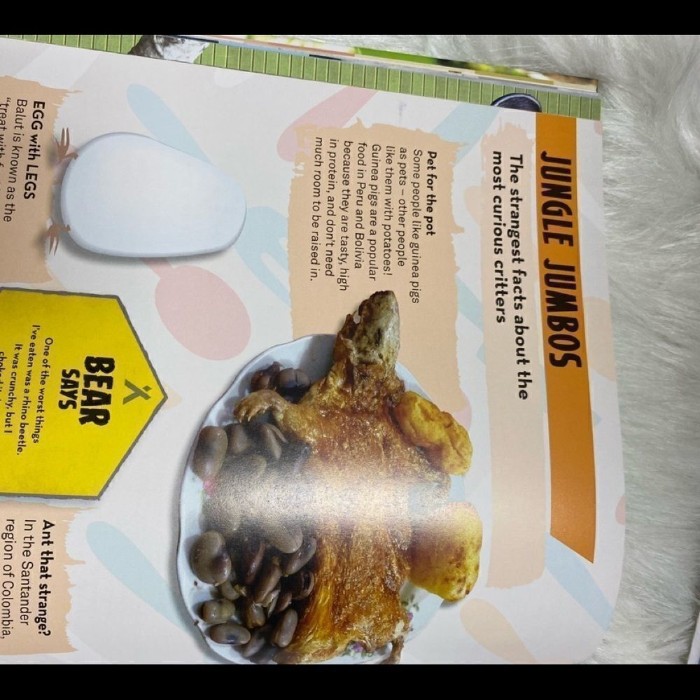 Bear Grylls Extreme Planet book - Picture 7 of 15